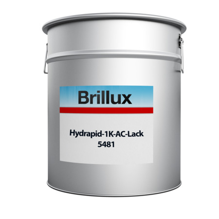 Hydrapid-1K-AC Paint 5481 (smooth, silk gloss)